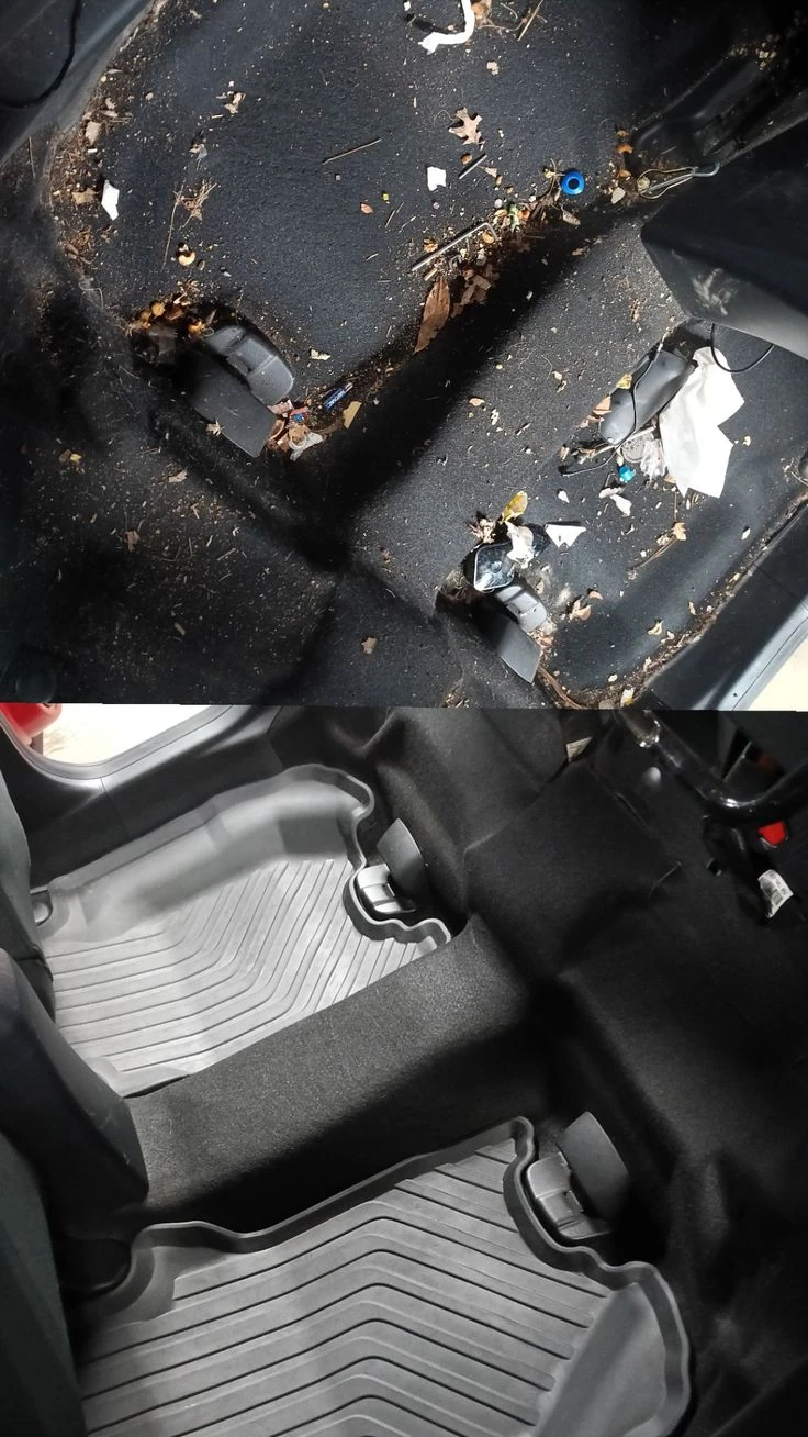 Vehicle carpet comparison after cleaning